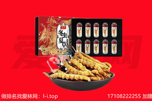 随州回收虫草.jpg